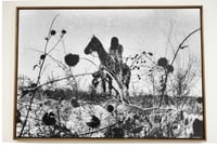 Image 2 of Simon Vansteenwinckel - Aux Ombres 16