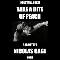 A TRIBUTE TO NICOLAS CAGE VOL II
