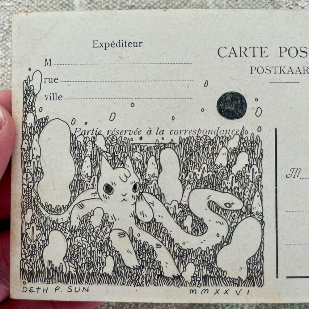 Image of Postcard Drawings