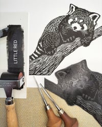 Image 2 of March 2026 Print of the Month - Little Red