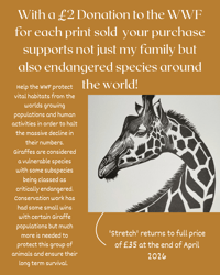 Image 3 of April 2026 Print of the Month - Stretch