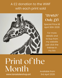 Image 1 of April 2026 Print of the Month - Stretch