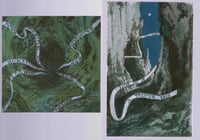 print set 