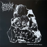 Death Toll 80K ''Grindcore Noise Flood'' - LP