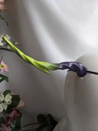 Image 1 of Unicorn Harpoon | Green \ Purple