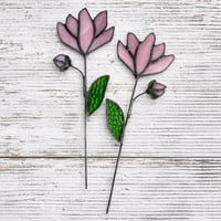 Stained glass magnolia 