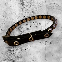 Image 3 of Black glossy bumpy spot studded punk rocker kitten collar