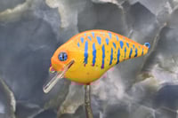 Image 5 of Custom Airbrushed S-CRANK 1.5 Squarebill Crankbait 5467