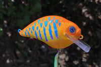 Image 11 of Custom Airbrushed S-CRANK 1.5 Squarebill Crankbait 5467