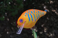 Image 12 of Custom Airbrushed S-CRANK 1.5 Squarebill Crankbait 5467