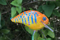 Image 6 of Custom Airbrushed S-CRANK 1.5 Squarebill Crankbait 5467