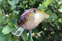 Image 4 of Custom Airbrushed S-CRANK 1.5 Squarebill Crankbait 6084