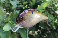 Image 3 of Custom Airbrushed S-CRANK 1.5 Squarebill Crankbait 6084