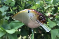 Image 5 of Custom Airbrushed S-CRANK 1.5 Squarebill Crankbait 6084