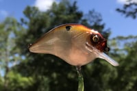 Image 9 of Custom Airbrushed S-CRANK 1.5 Squarebill Crankbait 6084