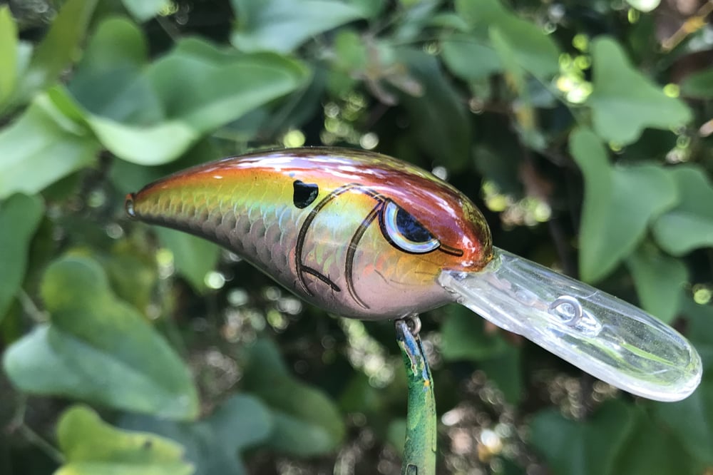 SPEEDBAITS Custom Airbrushed RK55 Crankbait 424 - Image 5