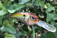Image 5 of SPEEDBAITS Custom Airbrushed RK55 Crankbait 424
