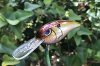Image 6 of SPEEDBAITS Custom Airbrushed RK55 Crankbait 424