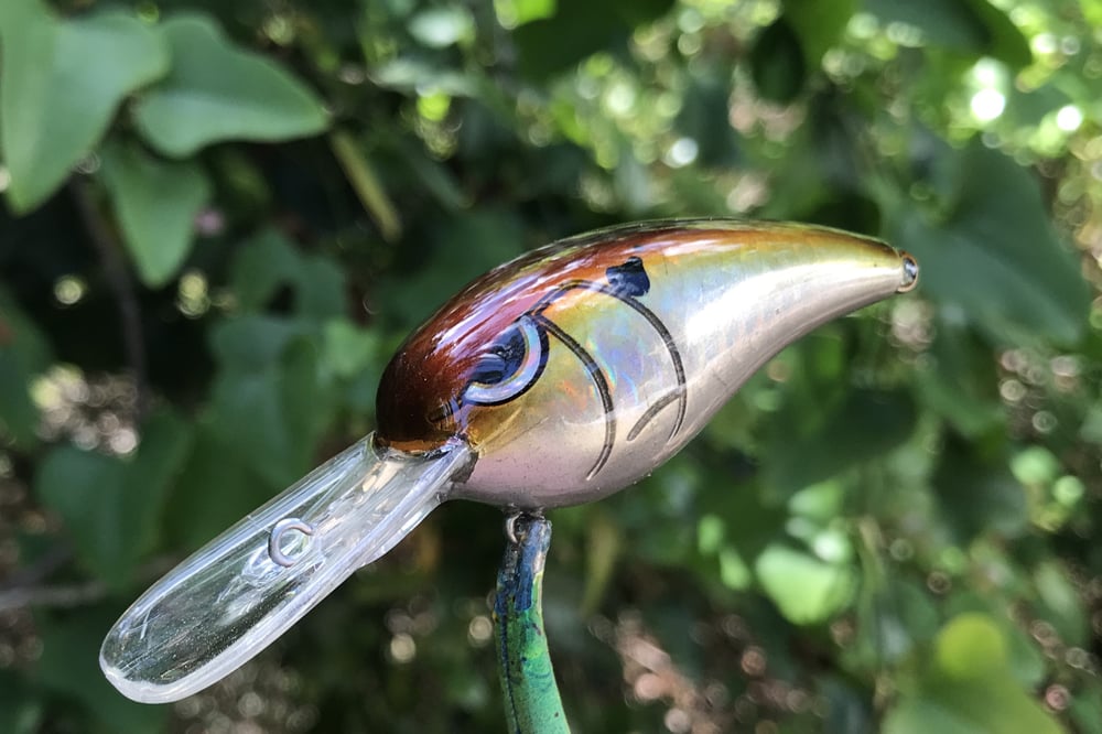 SPEEDBAITS Custom Airbrushed RK55 Crankbait 424 - Image 4