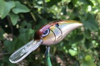 Image 4 of SPEEDBAITS Custom Airbrushed RK55 Crankbait 424