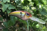 Image 7 of SPEEDBAITS Custom Airbrushed RK55 Crankbait 424