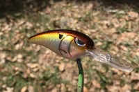 Image 8 of SPEEDBAITS Custom Airbrushed RK55 Crankbait 424