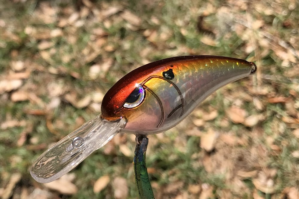SPEEDBAITS Custom Airbrushed RK55 Crankbait 424 - Image 9