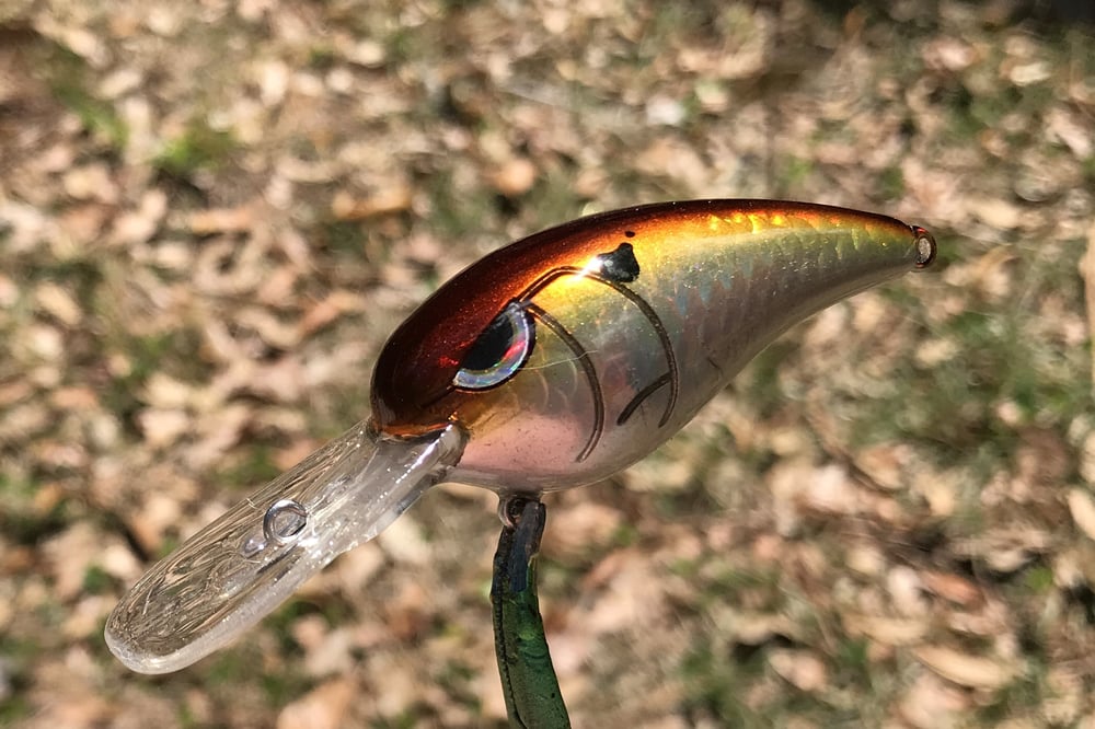 SPEEDBAITS Custom Airbrushed RK55 Crankbait 424 - Image 10