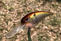 Image 10 of SPEEDBAITS Custom Airbrushed RK55 Crankbait 424