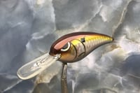 Image 1 of SPEEDBAITS Custom Airbrushed RK55 Crankbait 424