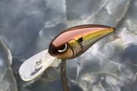 Image 3 of SPEEDBAITS Custom Airbrushed RK55 Crankbait 424