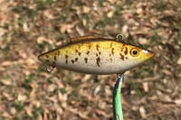 Image 7 of Custom Airbrushed Lipless Crankbait 2600