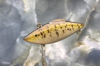Image 4 of Custom Airbrushed Lipless Crankbait 2600