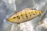 Image 1 of Custom Airbrushed Lipless Crankbait 2600