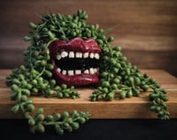 Open Mouth Policy Pot Sleeve