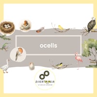 OCELLS / PÁJAROS