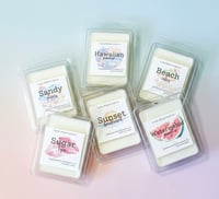 Image 1 of Spring Wax Melts