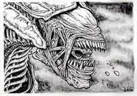 XENO - original ink illustration