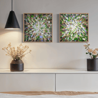 Image 9 of 'Blooms 42', diptych - 43x43cm each, FRAMED