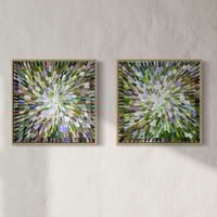 Image 1 of 'Blooms 42', diptych - 43x43cm each, FRAMED