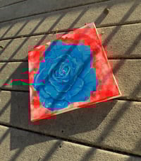 Image 2 of Still Growing