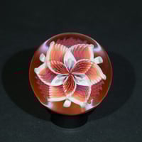 Image 1 of Ember Lotus