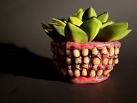 Image 1 of Mouthfeel Pot Sleeve