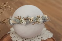 Newborn/Sitter Halo 349