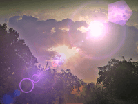 Image 1 of what's next in life?