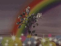 your next breakthrough