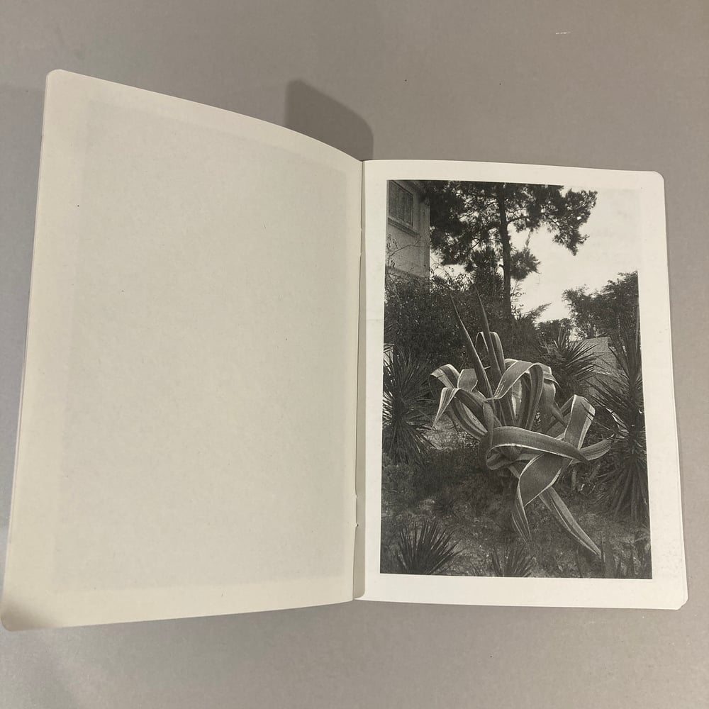 The Visitor Series #1 - James Meredew