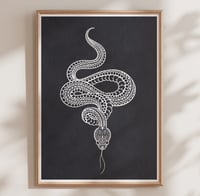 Image 1 of ORNAMENTAL SNAKE