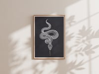 Image 2 of ORNAMENTAL SNAKE