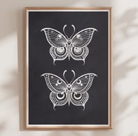 Image 1 of 2 ORNAMENTAL BUTTERFLIES 